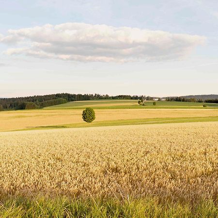 شقة Bantlehof Niedereschach المظهر الخارجي الصورة